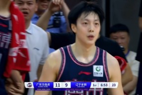 开云体育官网-塞尔维亚 落选赛