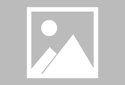 开云体育下载-芙宁娜审判旅行者akt